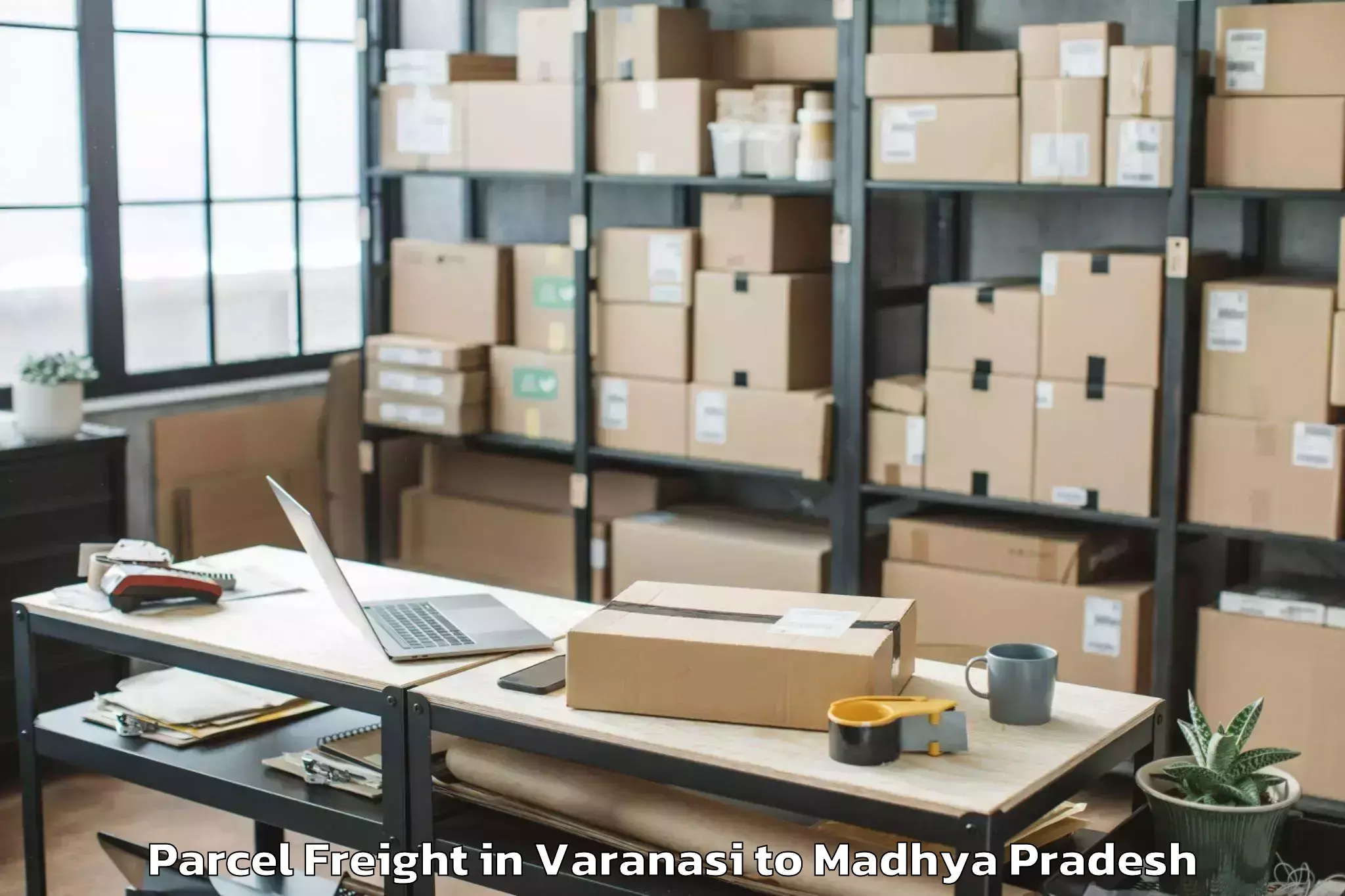 Varanasi to Maheshwar Parcel Freight